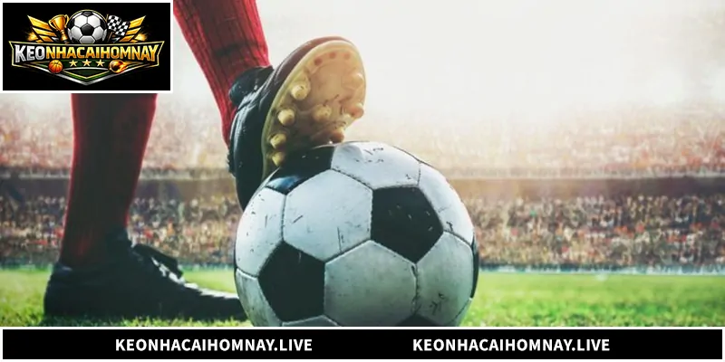 Khám phá tất tần tật về nền tảng Bong88