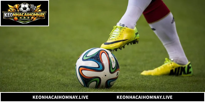 Khám phá toàn bộ về kèo tài xỉu