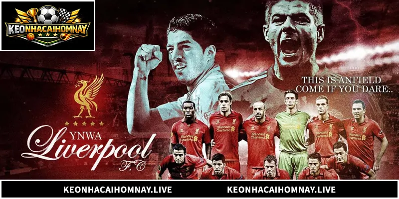 Nhận Định Liver - Phân Tích Toàn Diện The Kop