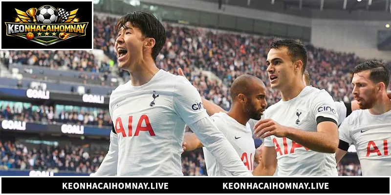 Tìm hiểu quy trình nhận định Tottenham