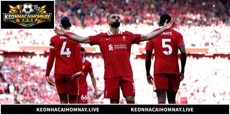 Nhận Định Liverpool - Phân Tích Đội Bóng Lữ Đoàn Đỏ Tìm hiểu về quá trình nhận định Liverpool