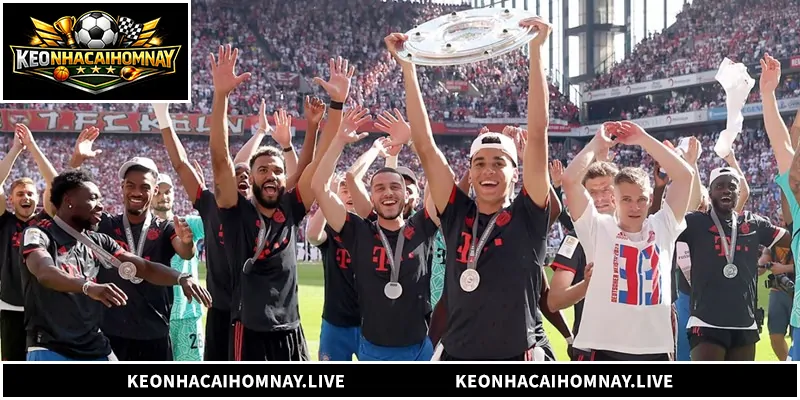 Tổng quan về nhận định Bayern